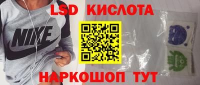 прущие крисы Кингисепп
