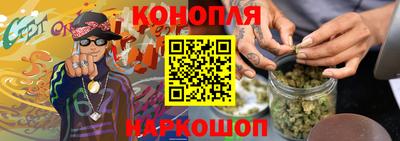 прущие крисы Кингисепп