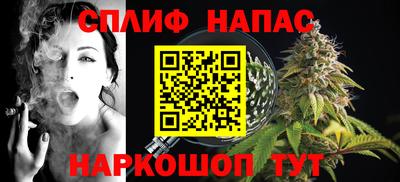 прущие крисы Кингисепп