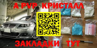 прущие крисы Кингисепп