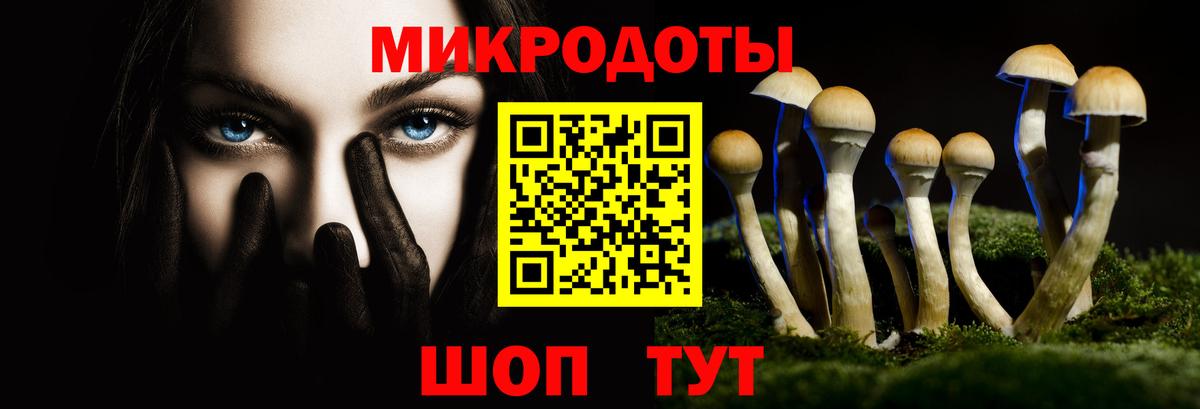 Галлюциногенные грибы Cubensis  Вход с VPN  Шадринск 